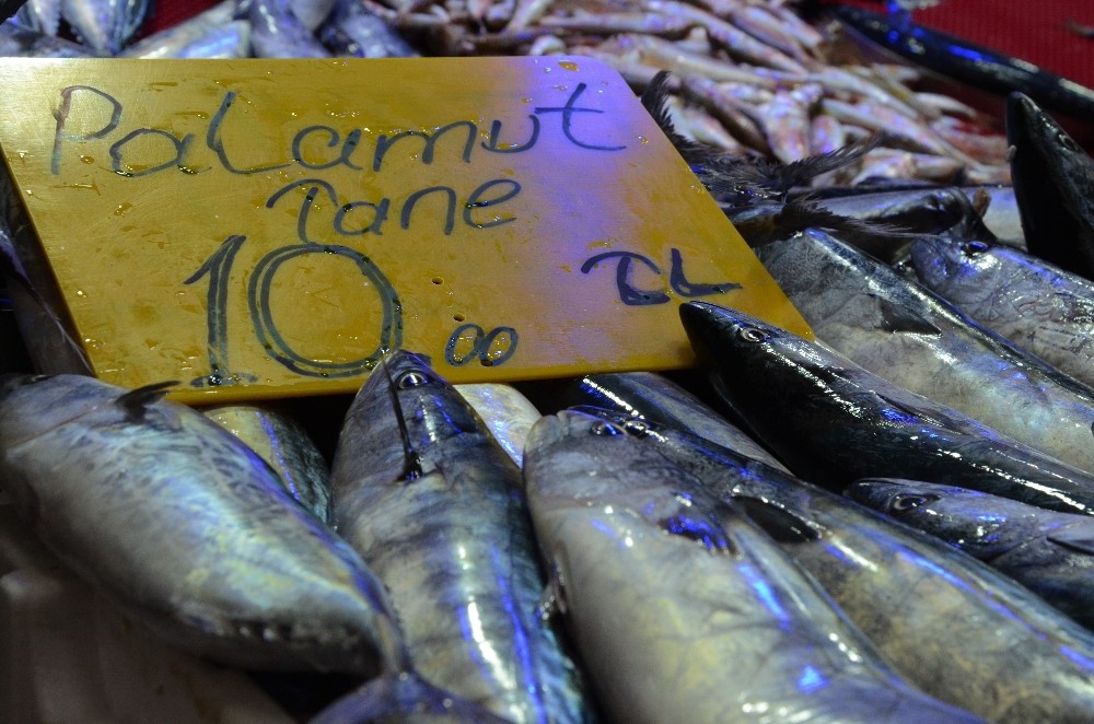 Plamut balığı 10 liraya geriledi