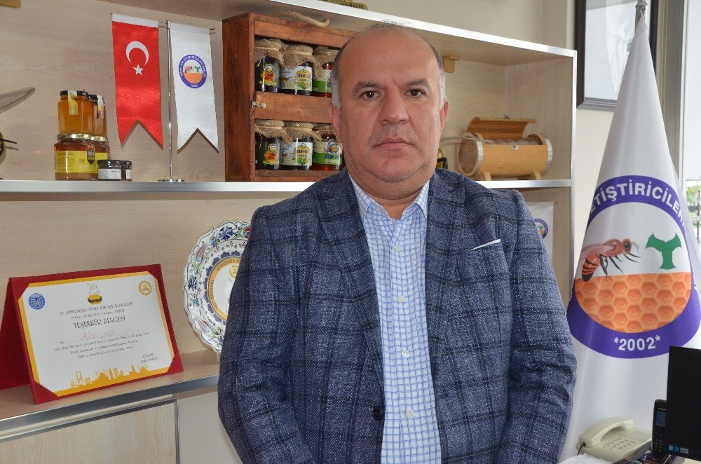 Türkiye’nin en fazla bal üretimi yapan ilinde genç arıcı yetişmiyor