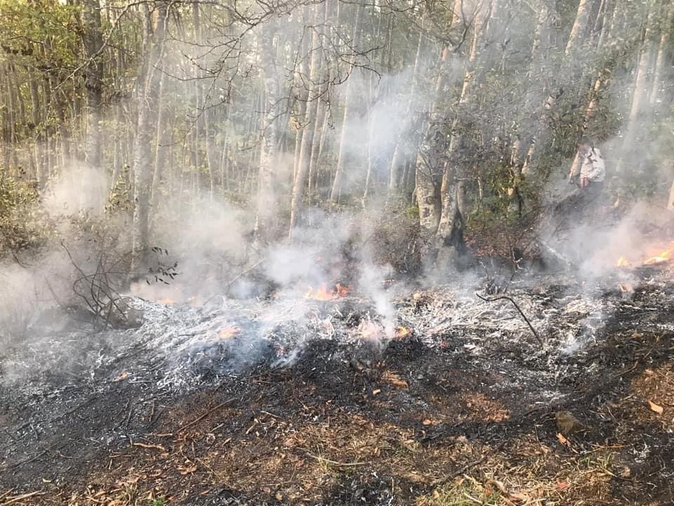 Orman yangınına müdahale ederken yanarak can verdi