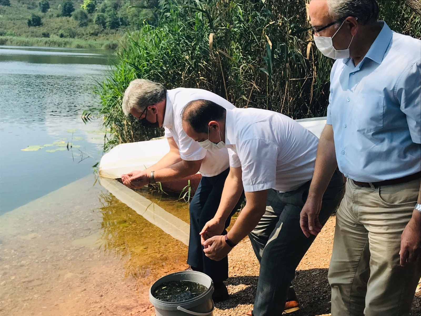 Gaga Gölü’ne 100 bin sazan balığı yavrusu bırakıldı