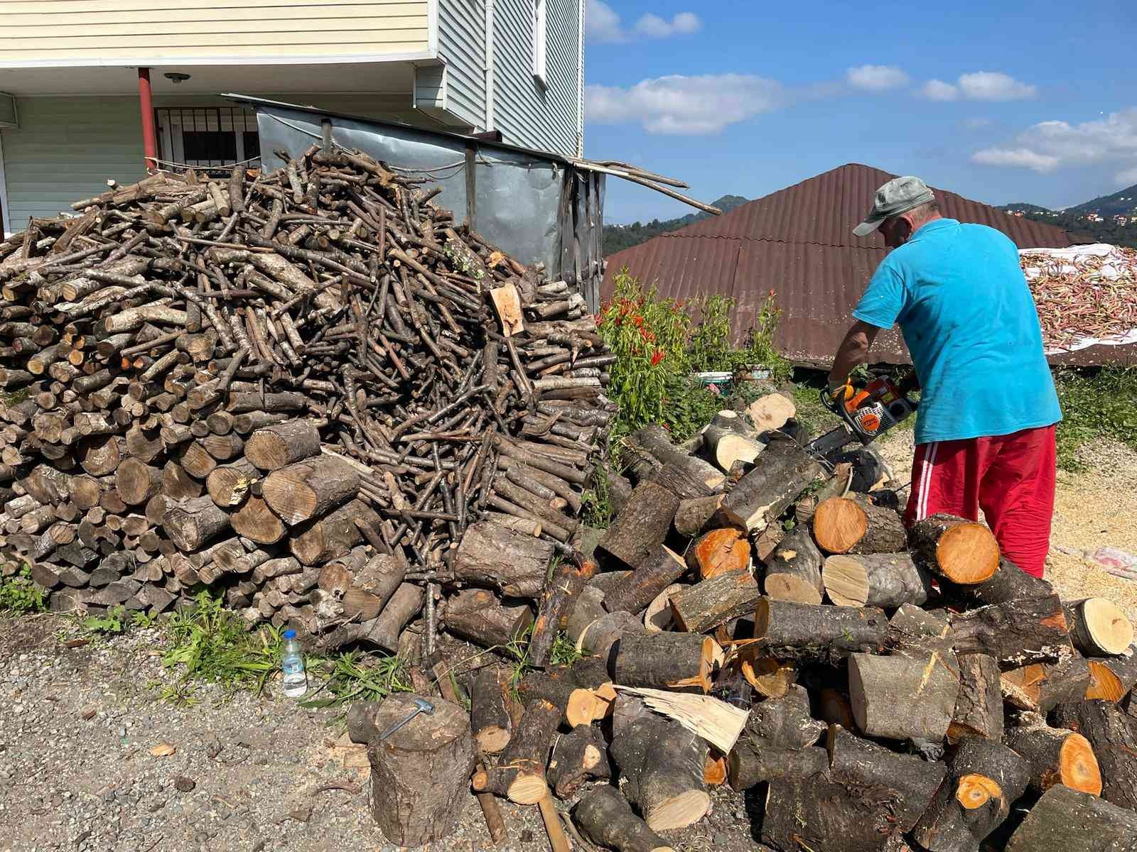 Vatandaşların kışlık odun hazırlıkları sürüyor