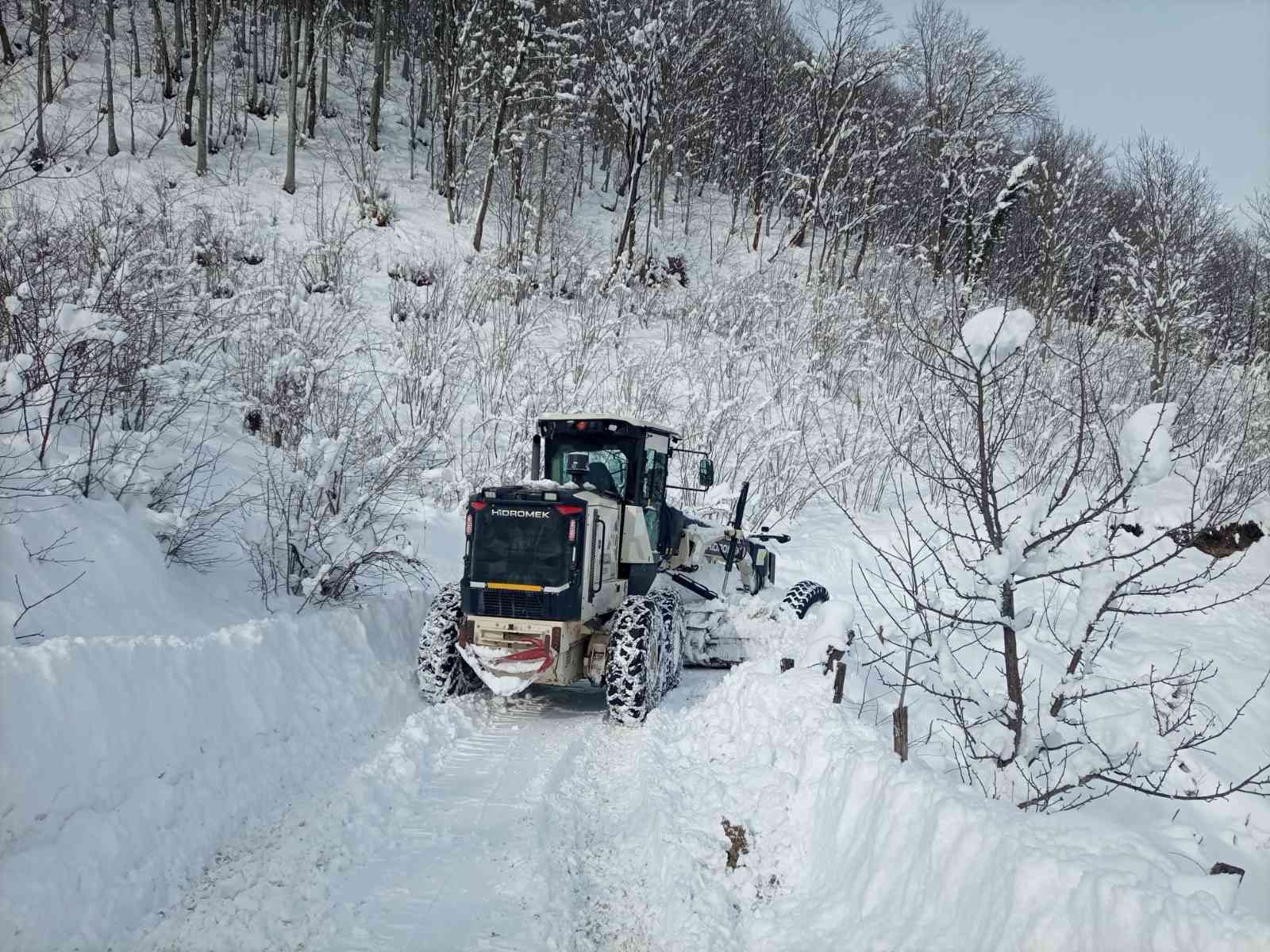 Ordu’nun 19 ilçesinde karla mücadele sürüyor